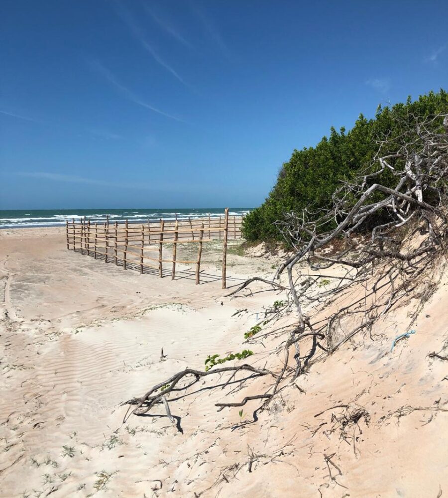 Terreno - Praia Peito de Moça